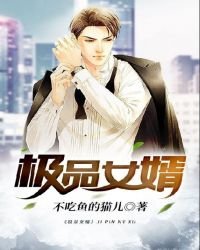 极品女婿